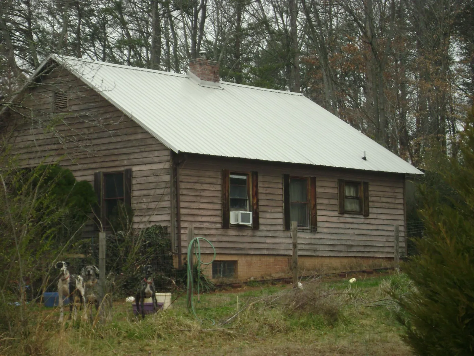 White metal roof on an old wood sided farmhouse, from a Asphalt Shingle Roof Repair job in Jacksonville